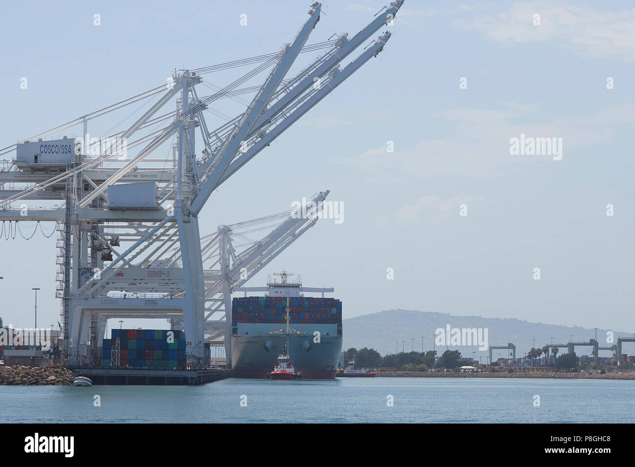 The Giant COSCO SHIPPING Container Ship, COSCO PORTUGAL, Arriving At