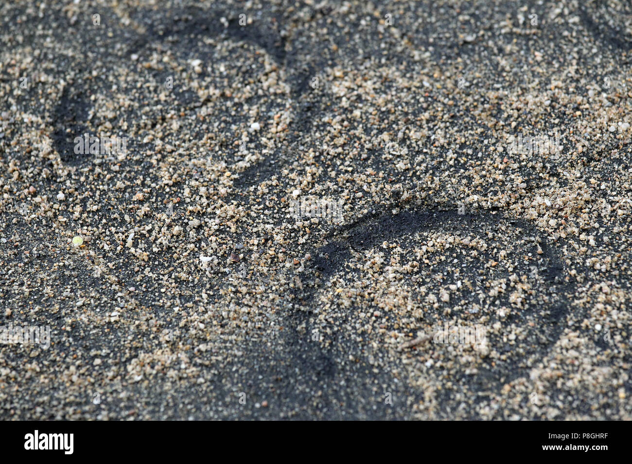 Dresden, prints of horseshoes on the ground Stock Photo