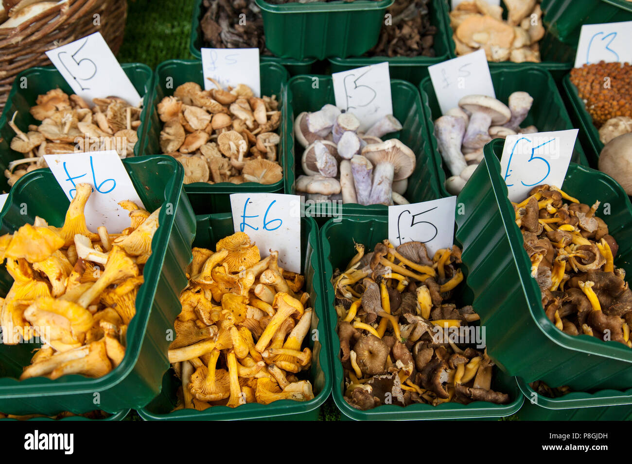 Mushroom Mushrooms Market Stall High Resolution Stock Photography and