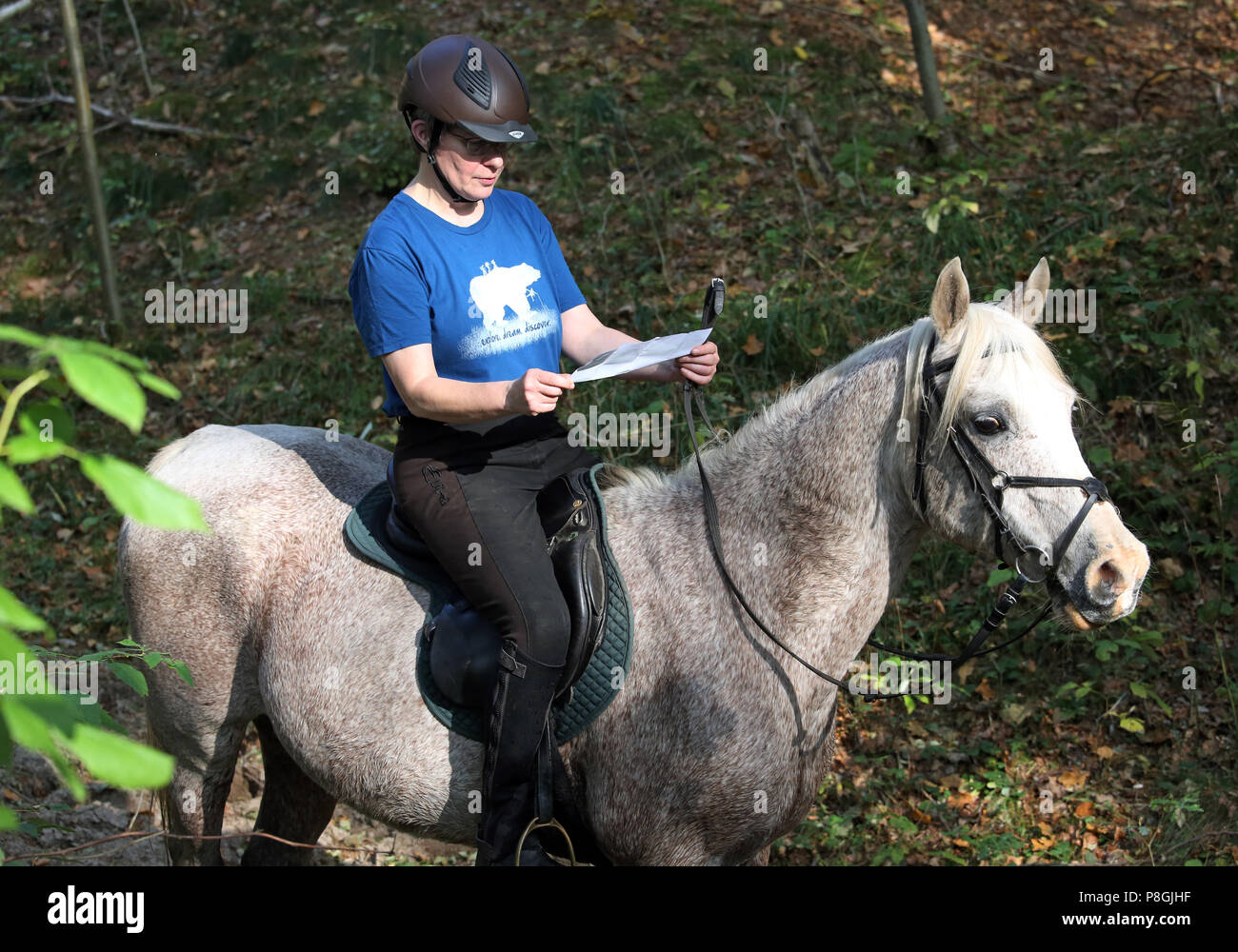 Zernikow, horsewoman is looking for the way through the forest on a map Stock Photo