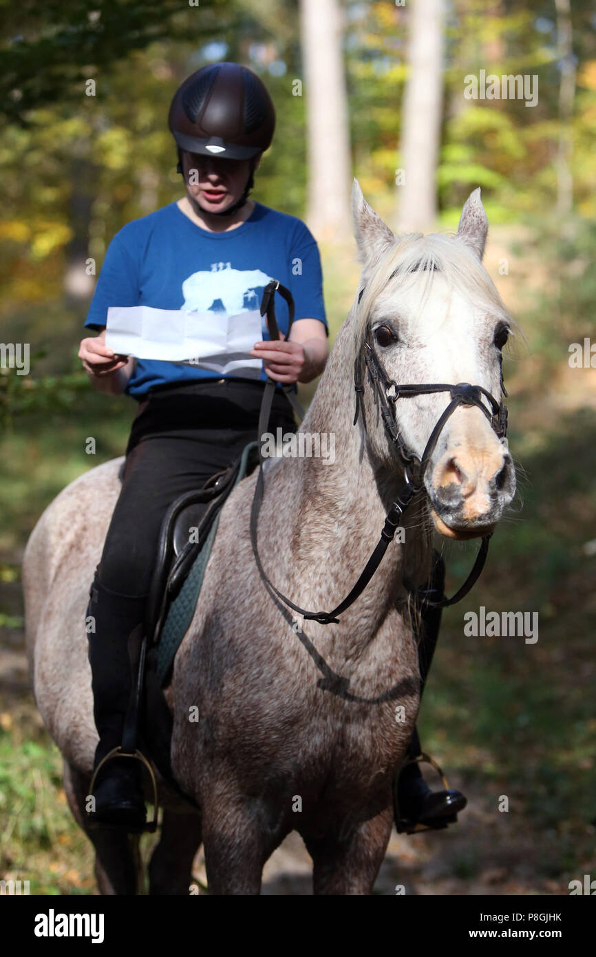 Zernikow, horsewoman is looking for the way through the forest on a map Stock Photo