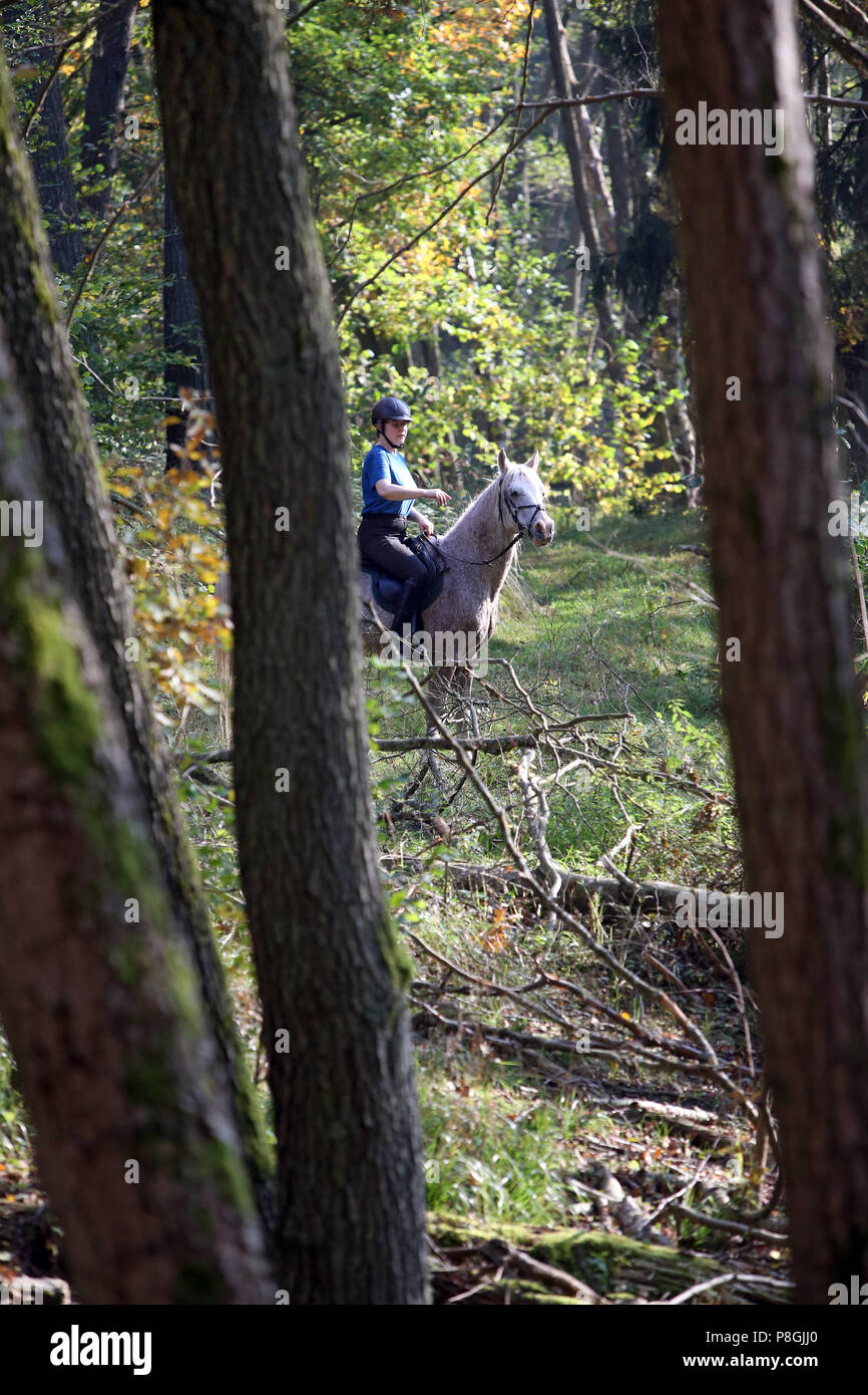 Zernikow, horsewoman is looking for the right way in the forest Stock Photo