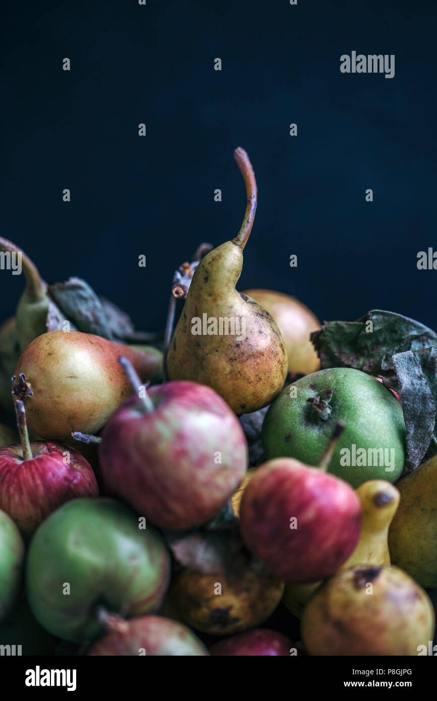 Organic apples and pears in a rustic bucket Stock Photo Alamy