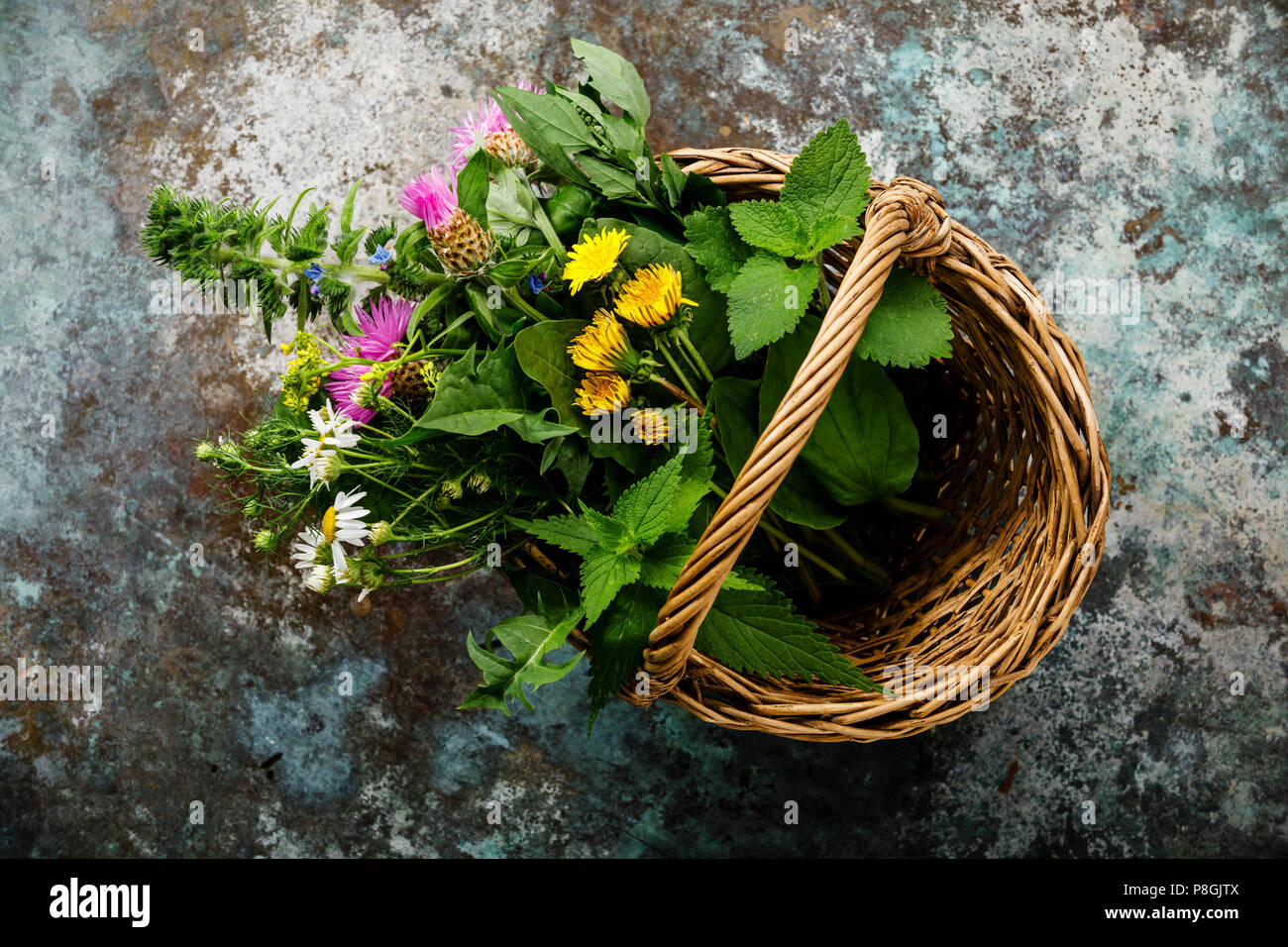 Meadow medicinal herbs clean hi-res stock photography and images - Alamy