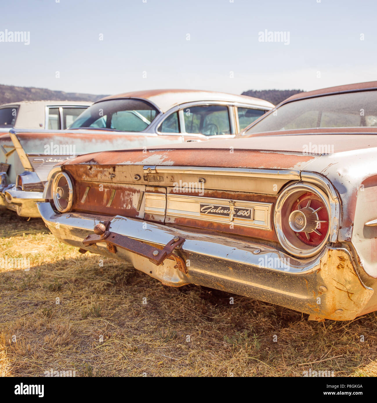 A row of old cars at a junkyard in Southwestern United States, Glendale, Utah featuring a rusty old Ford Galaxie 500. Stock Photo