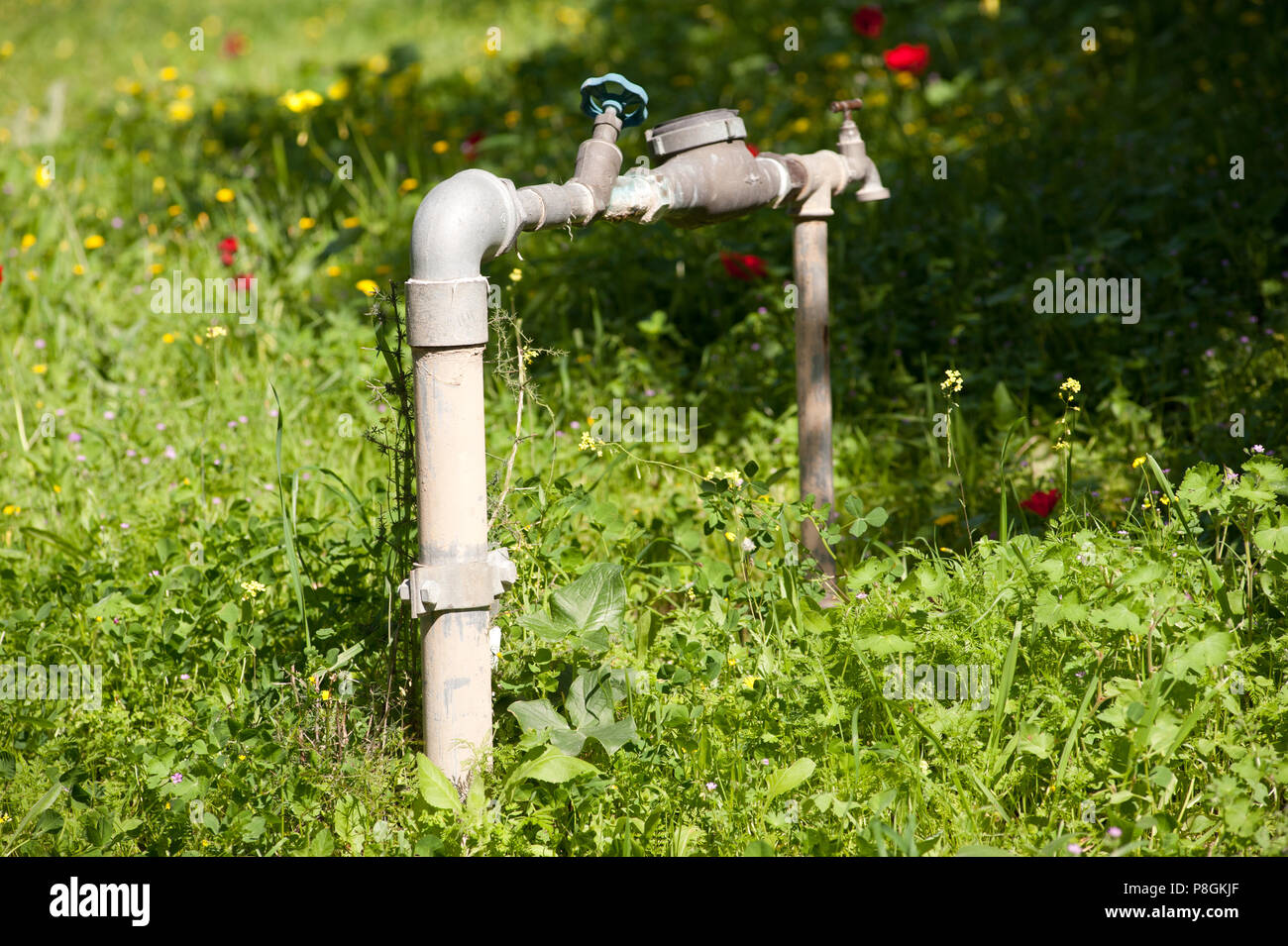 Outdoor water tap hires stock photography and images Alamy