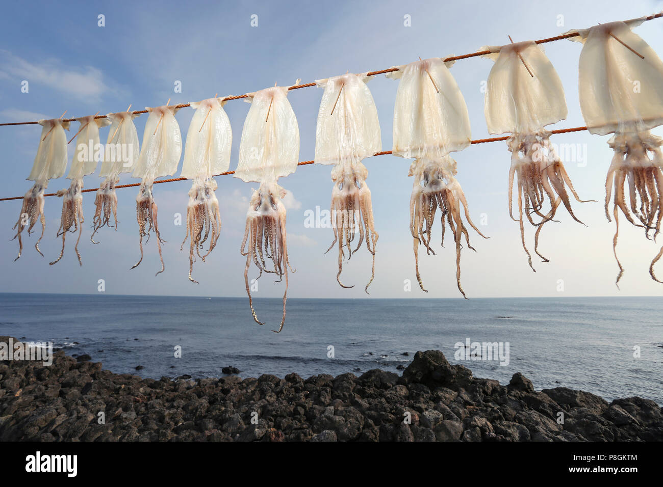 Dried squid hanging on a line by the sea, a delicious snack in South Korea  Stock Photo - Alamy