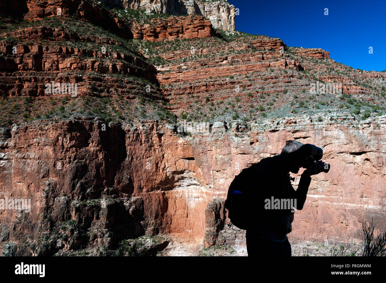 Silhouetted against a sunlit cliff, a hiker takes a picture on Bright Angel Trail, Grand Canyon, Arizona, USA. Stock Photo