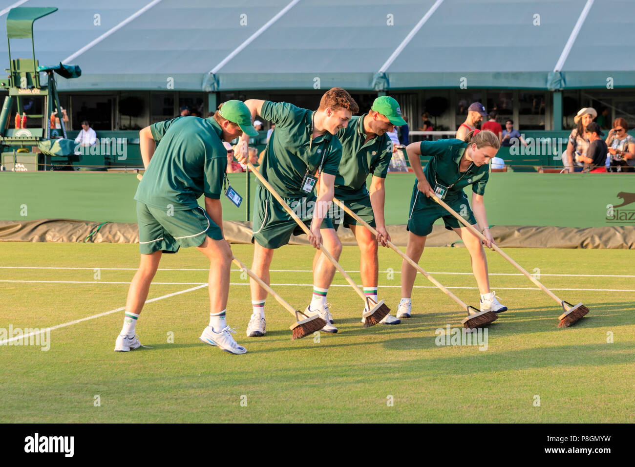 Court maintenance attendants swipe a Wimbledon grass court to preserve the lawn Stock Photo