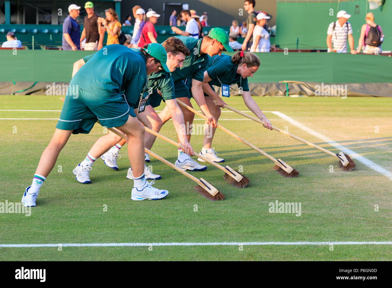Court maintenance attendants swipe a Wimbledon grass court to preserve the lawn Stock Photo