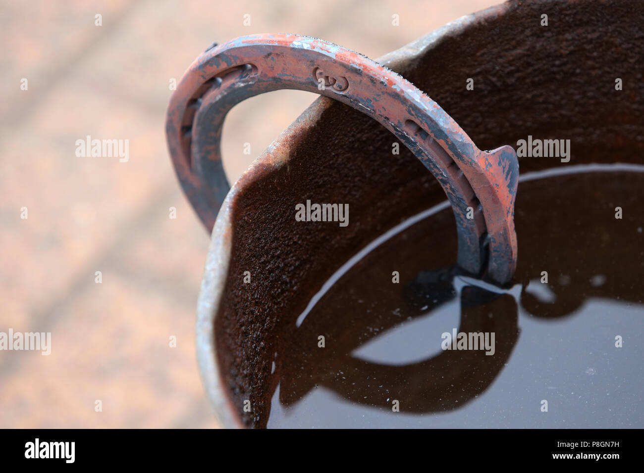 Neustadt (Dosse), heated horseshoe is cooled in a bucket of water Stock Photo