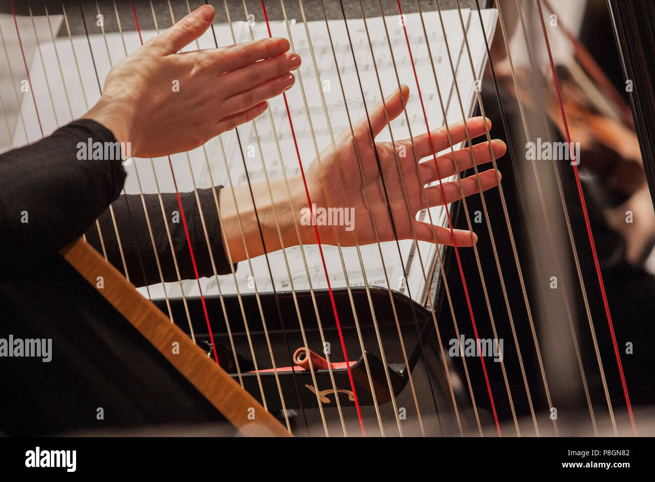 Harpist Playing Harp In Orchestra Stock Photo