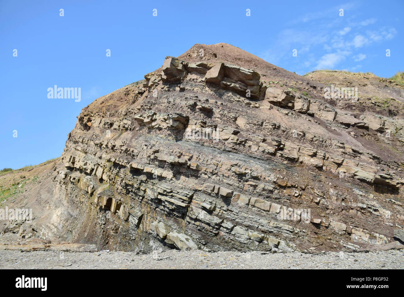Joggins Fossil Cliffs on the Bay of Fundy in Nova Scotia, Canada’s 15th