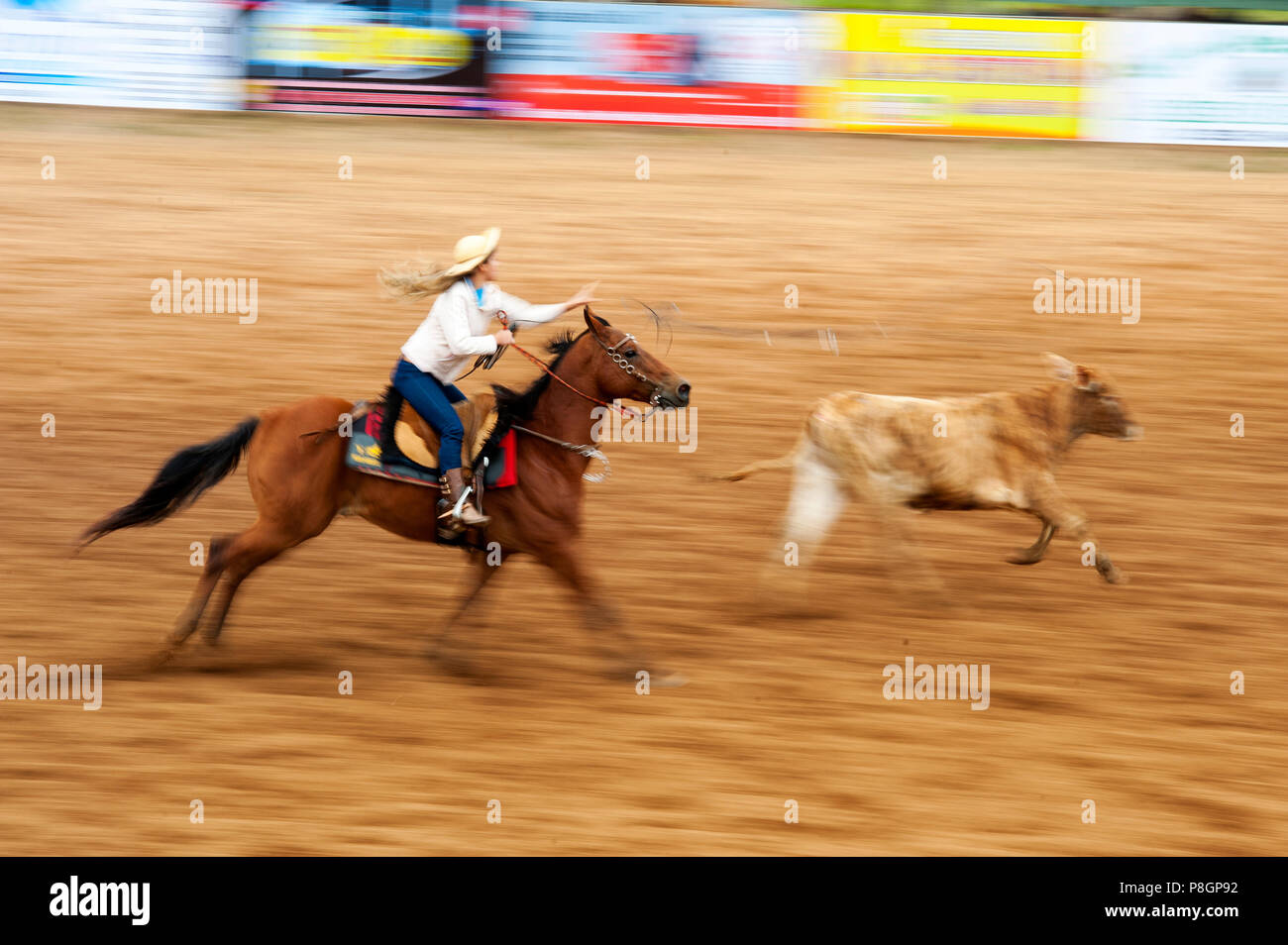 Rodeo is a popular pastime in Mato Grosso do Sul, Bonito town, Brazil ...