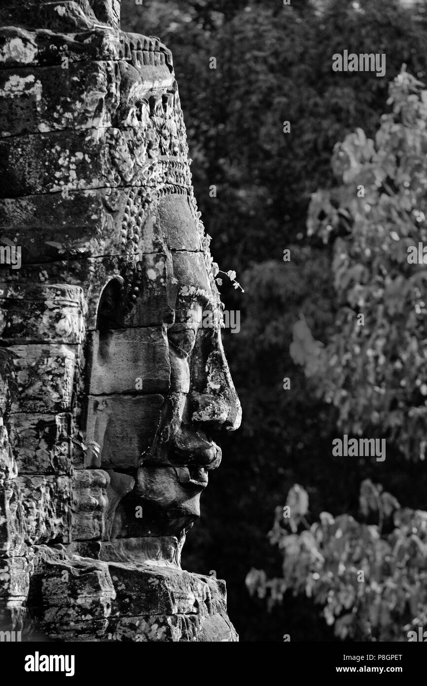 A vine grows on a  face tower of The Bayon at Angkor Thom, the largest Khmer city ever built by Jayavarman 7 & 8, are part of the Angkor Wat complex   Stock Photo