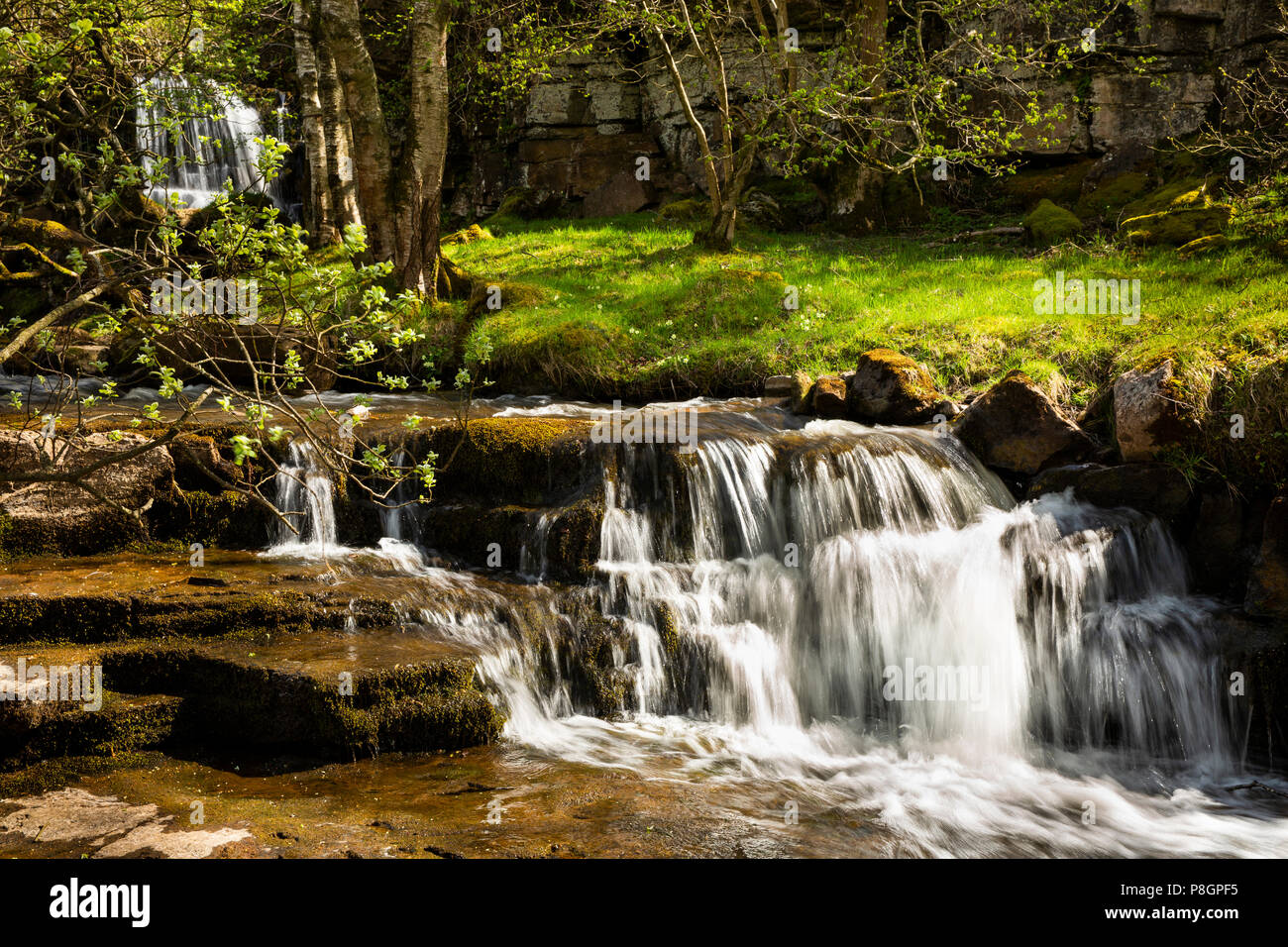 UK, England, Yorkshire, Swaledale, Keld, East Gill Force waterfall Stock Photo