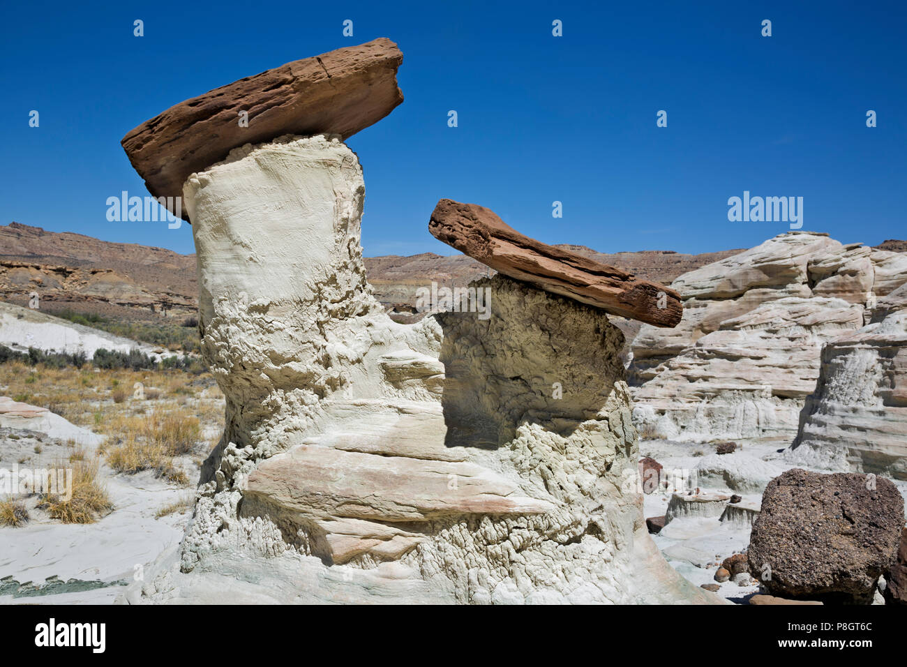 UT00423-00...UTAH - A double hoodoo, part of the Wahweap Hoodos, know for their white columns with red cap rocks, in the Grand Staircase Escalante Nat Stock Photo