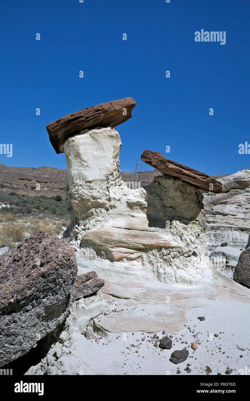 UT00424-00...UTAH - A double hoodoo, part of the Wahweap Hoodos, know for their white columns with red cap rocks, in the Grand Staircase Escalante Nat Stock Photo
