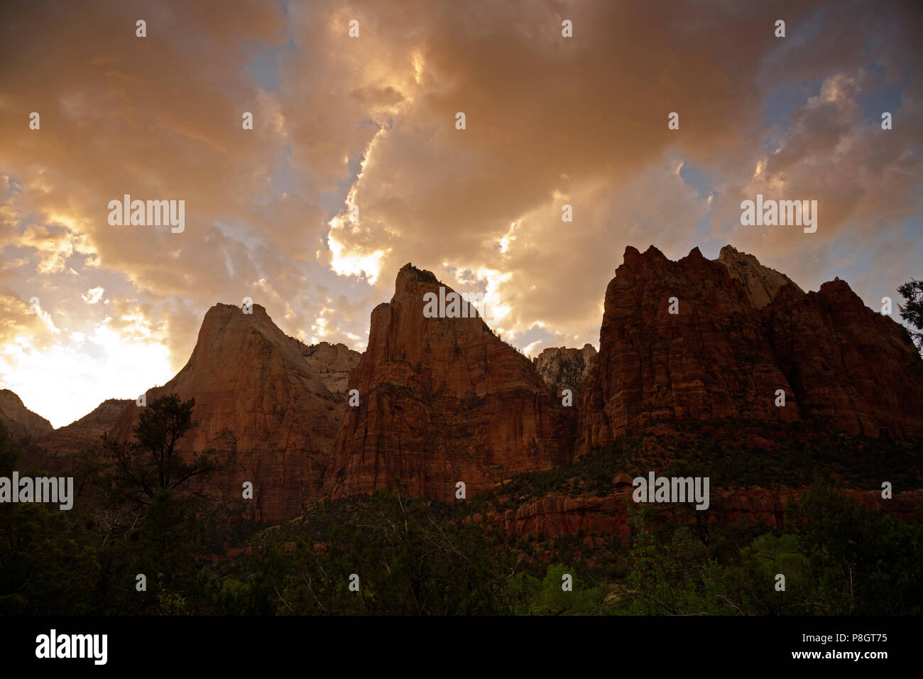 UT00437-00...UTAH - Sunset over the Court of the Patriarchs in the Zion Canyon area of Zion National Park. Stock Photo