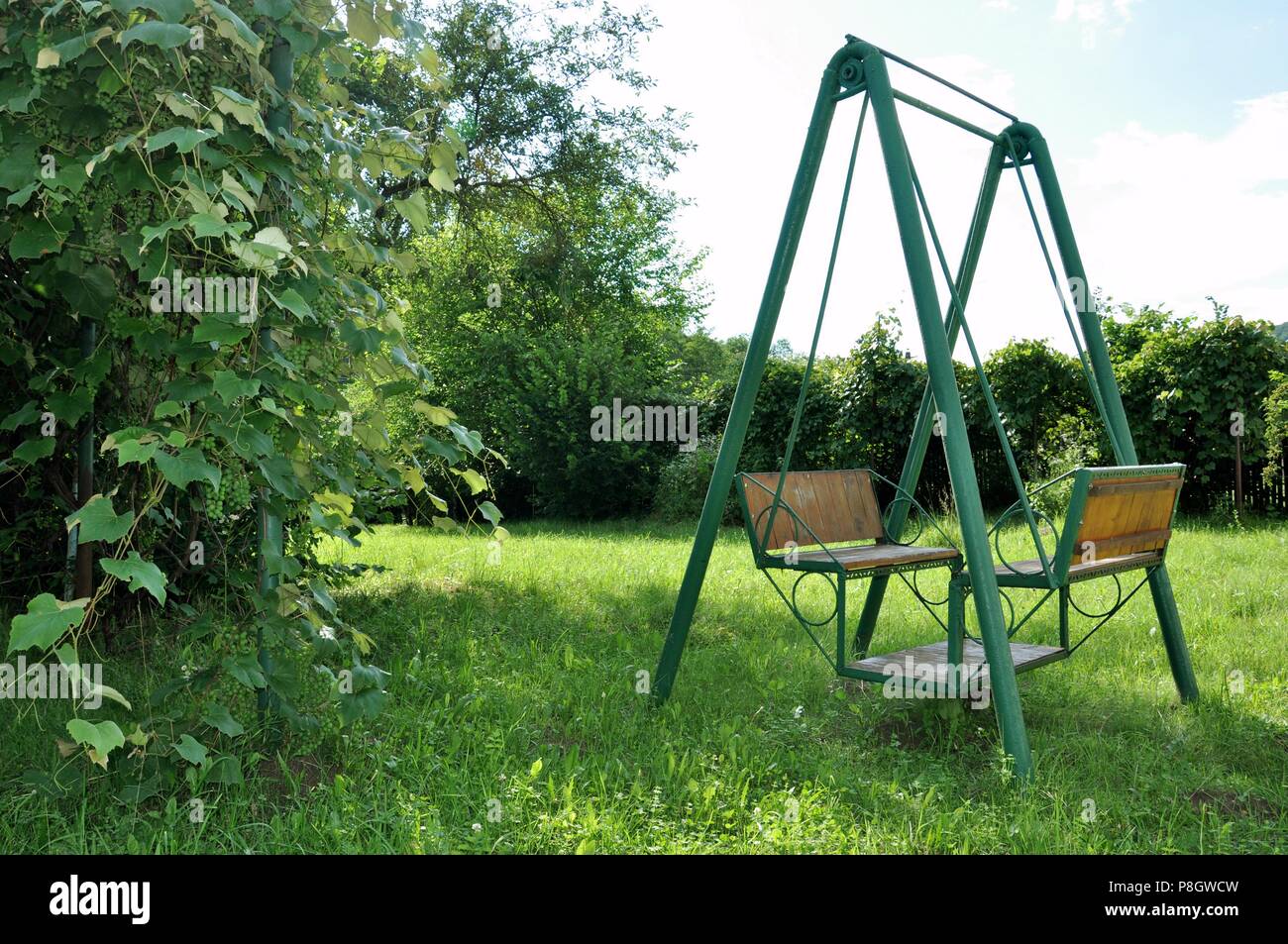 Double rocking chair made of metal and wood in the courtyard of the house in the countryside, green grass background Stock Photo