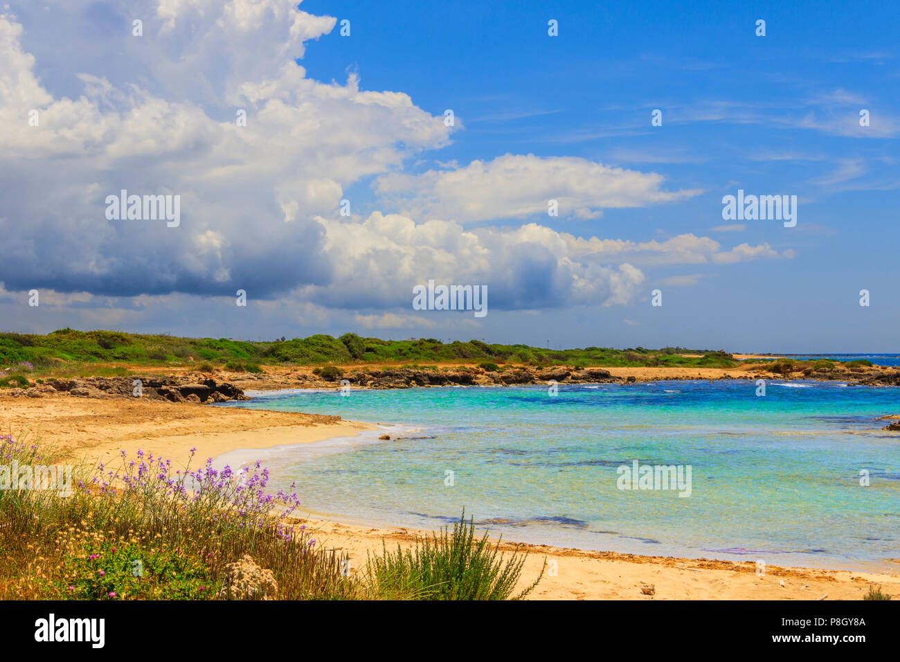 Salento coast: Lido Marini beach (Lecce). ITALY,(Apulia).Marine dunes dominated by clouds: sandy beach crowned by mediterranean scrub. Stock Photo