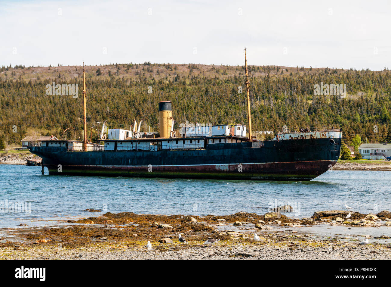 Ss kyle hires stock photography and images Alamy