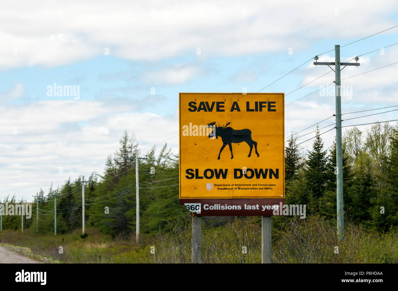 A Newfoundland road sign warns of collisions with moose. Stock Photo