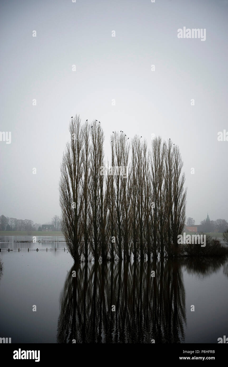 Elbe Hochwasser High Resolution Stock Photography And Images Alamy