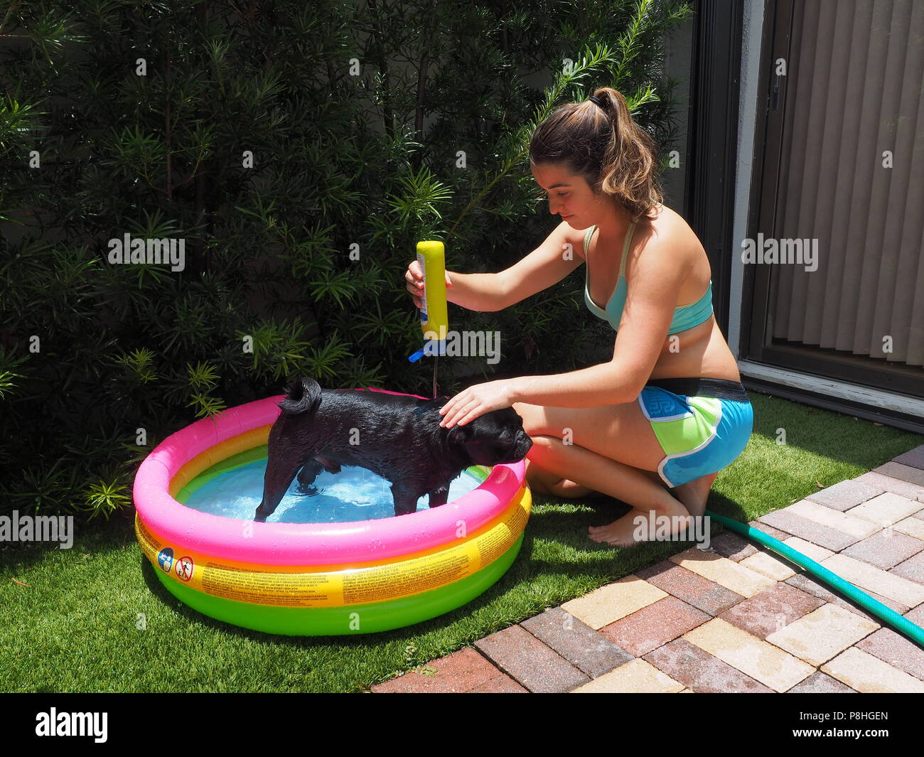 pug inflatable pool
