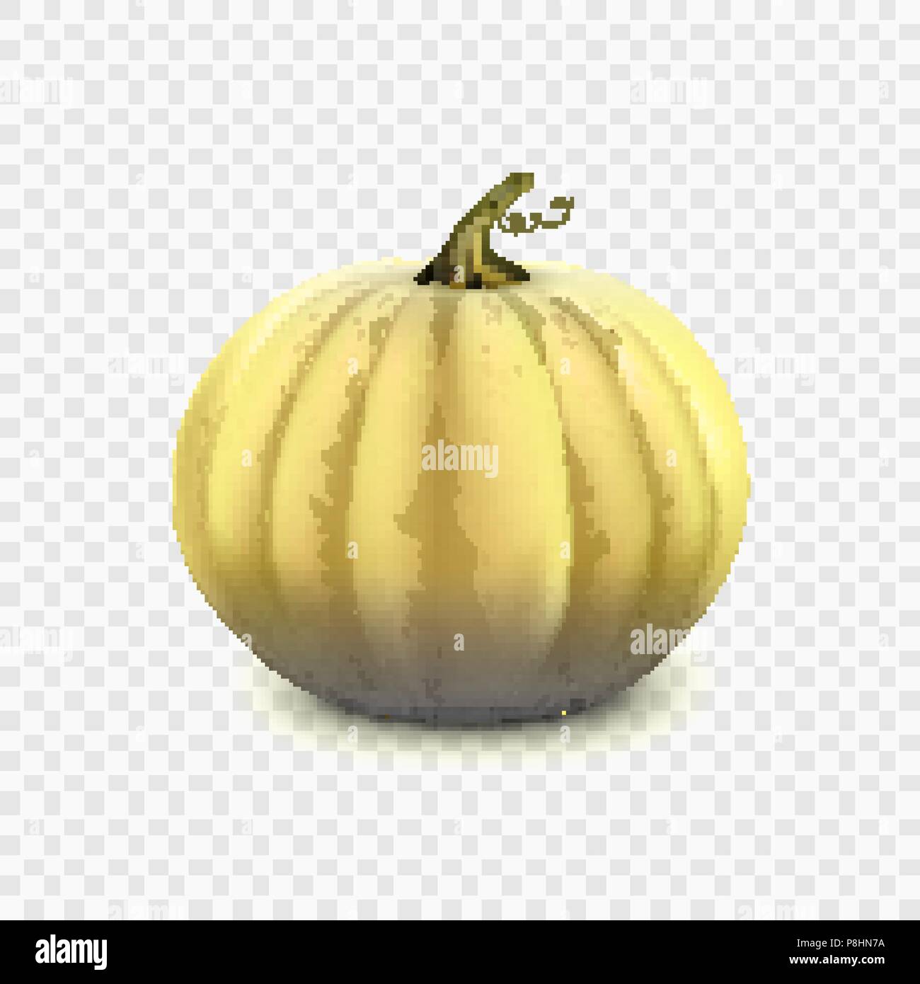 Stock vector illustration pumpkin isolated on a transparent background ...