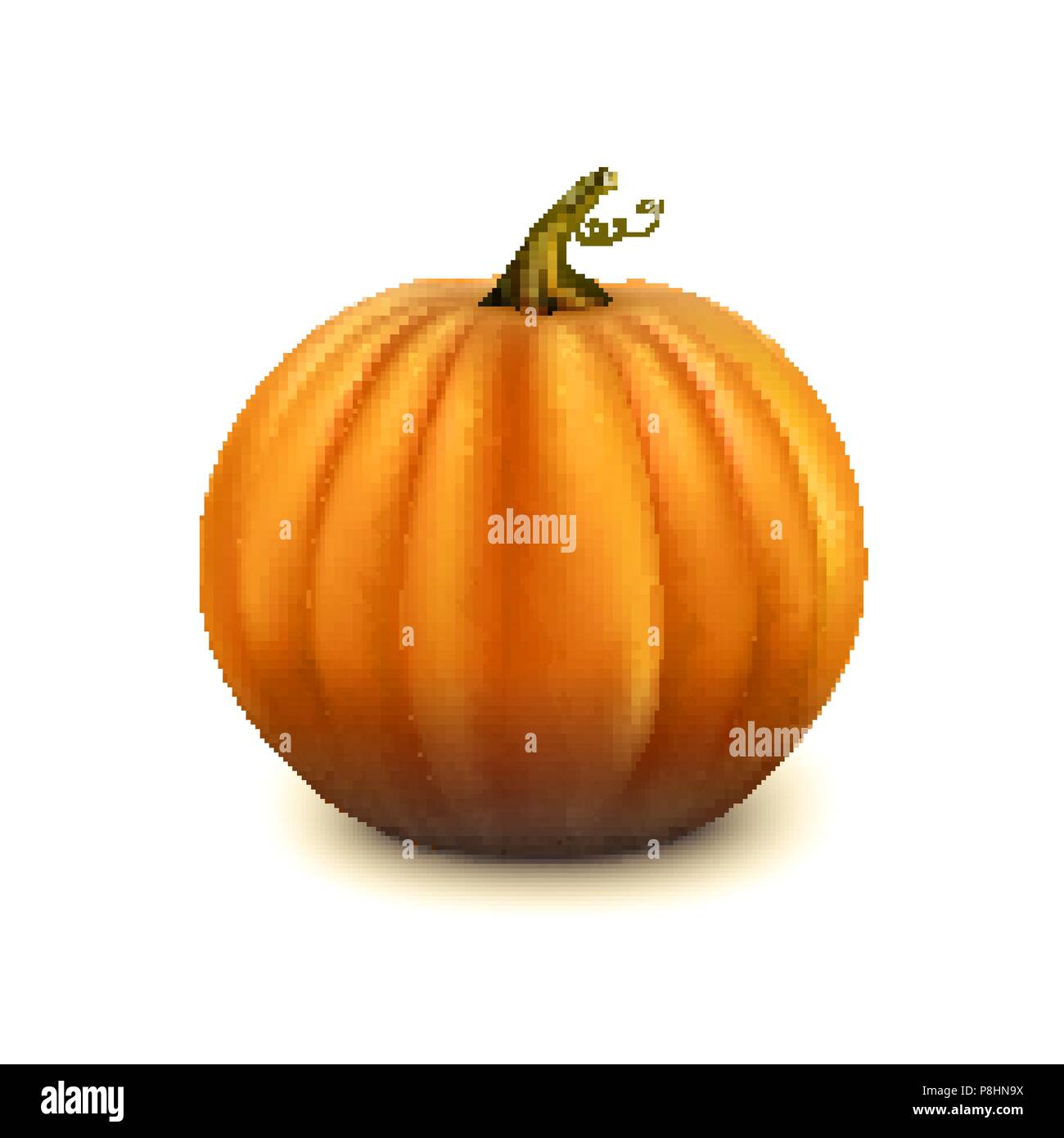 Pumpkin isolated on white background Stock Vector Image & Art - Alamy