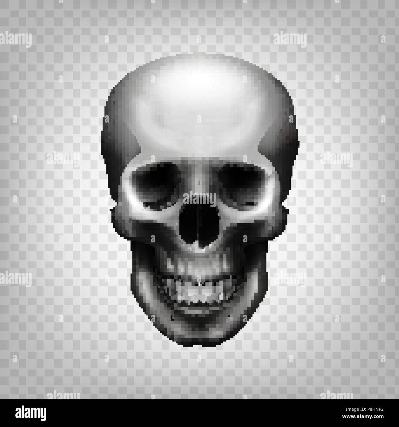 Skull Invisible Background Skull transparent background Stock Vector Image & Art - Alamy