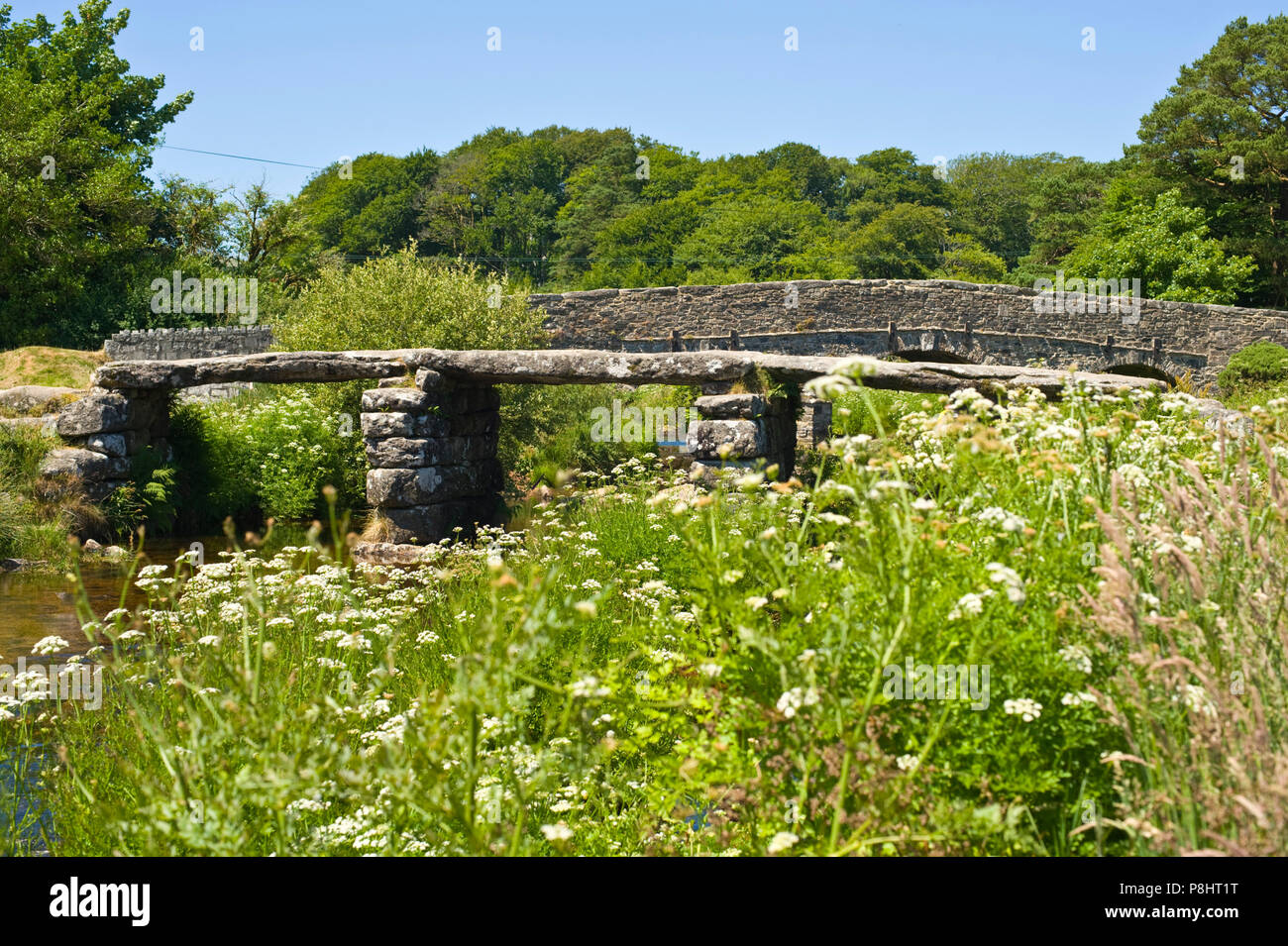 13th century clapper bridge over the river Dart on Dartmoor at Postbridge Devon England UK Stock Photo
