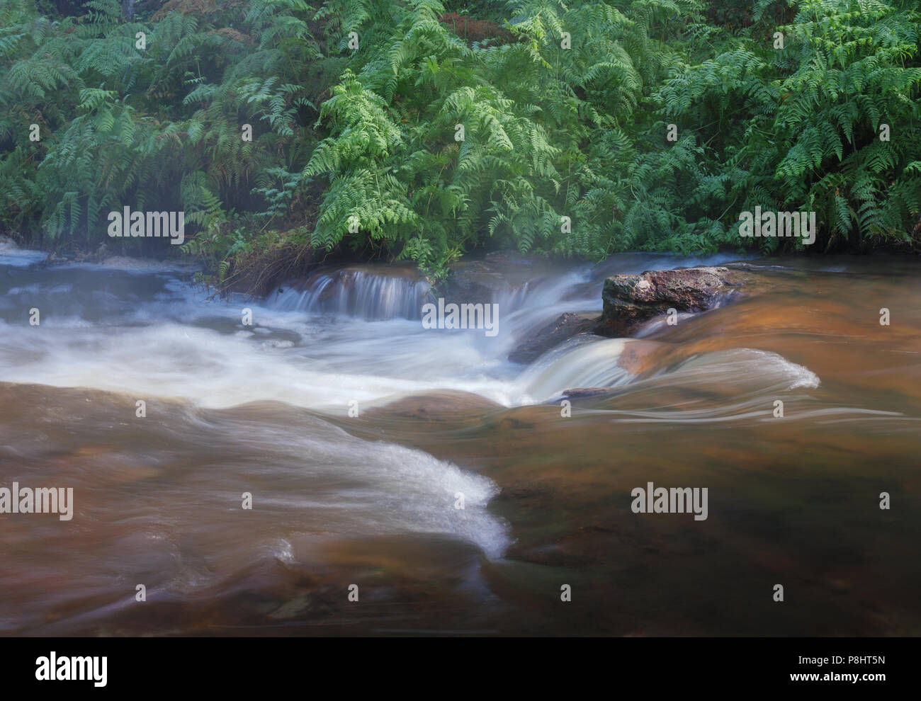 long exposure of stream in nature. Stock Photo