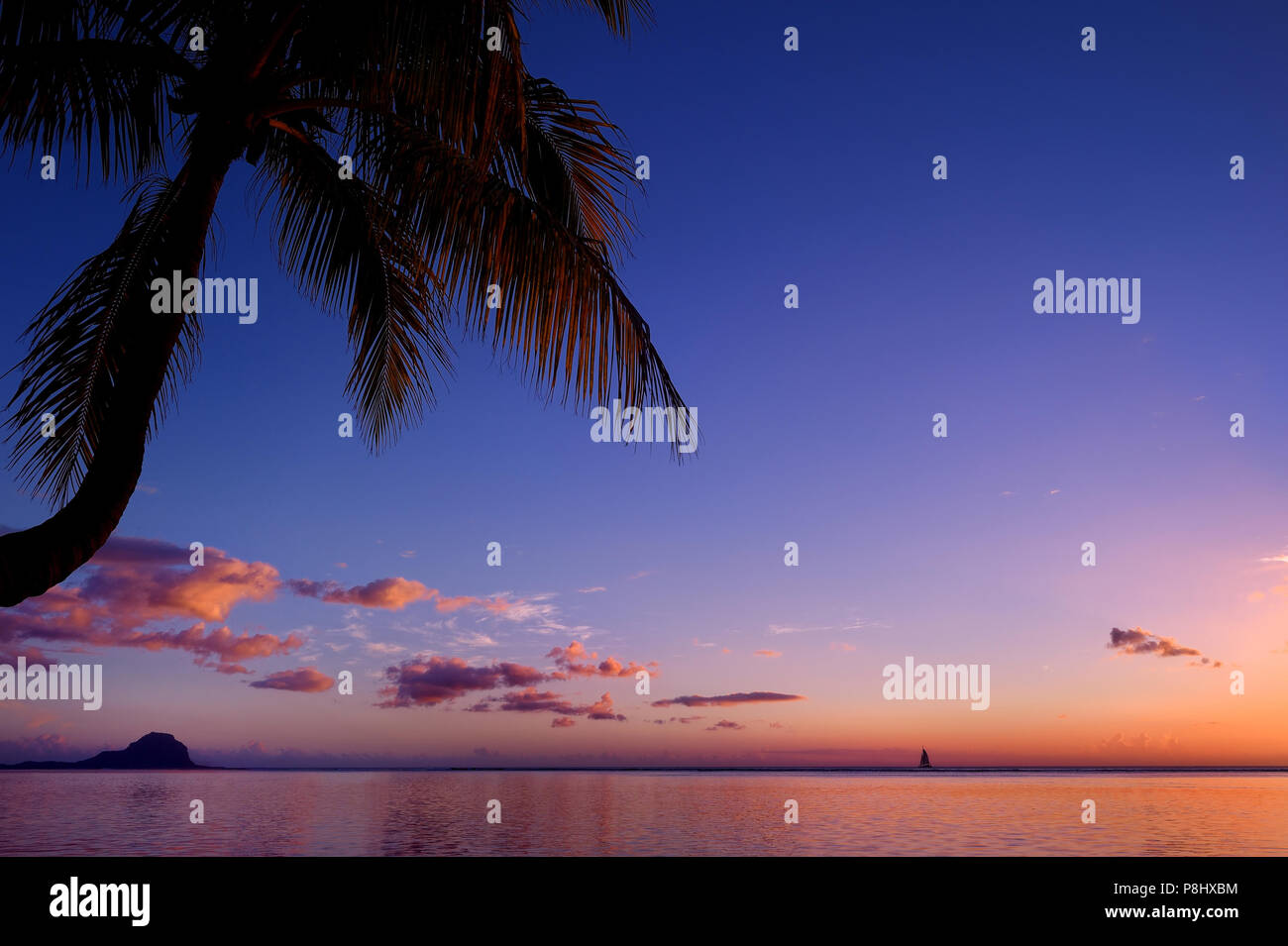 Palm trees silhouette on sunset tropical beach Stock Photo - Alamy