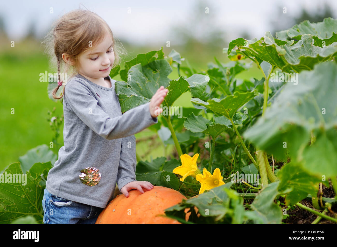 Cute little girl sitting on a pumpkin in a pumpkin patch Stock Photo ...