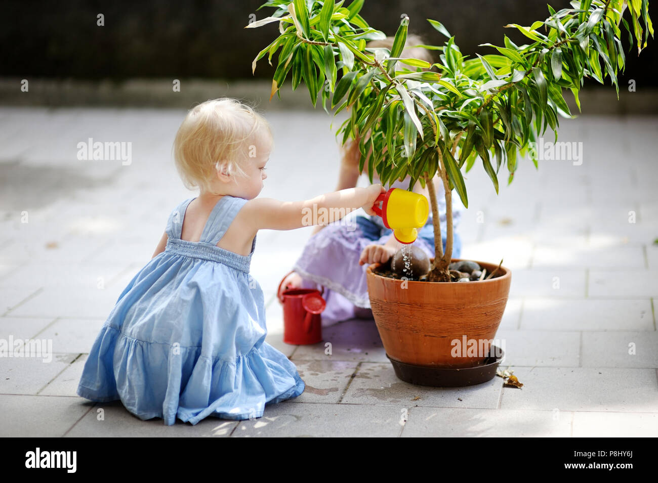 Cute little girl watering a plant in a pot Stock Photo