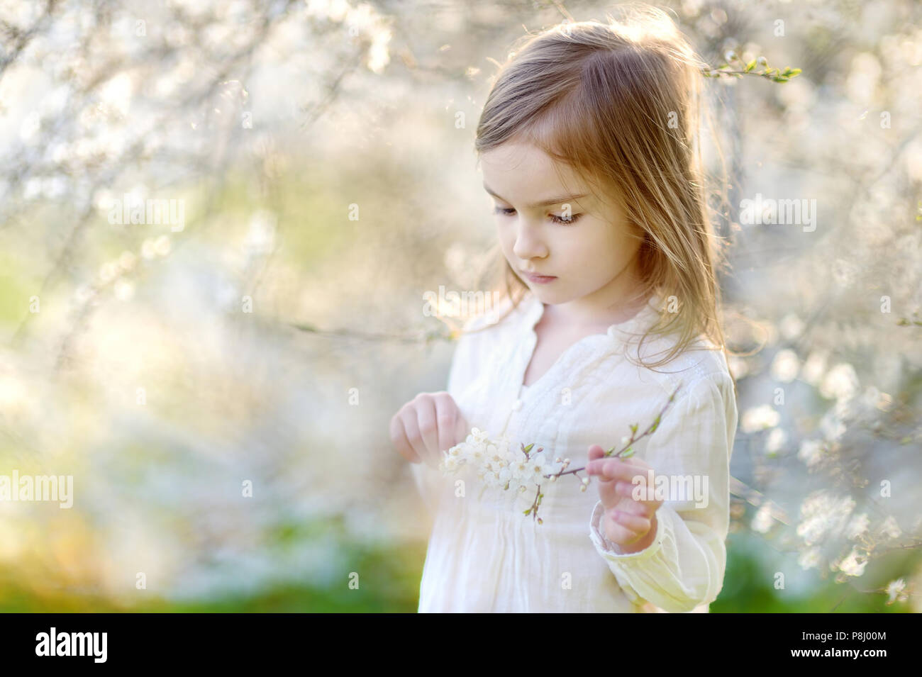 Adorable little girl in blooming cherry garden Stock Photo - Alamy