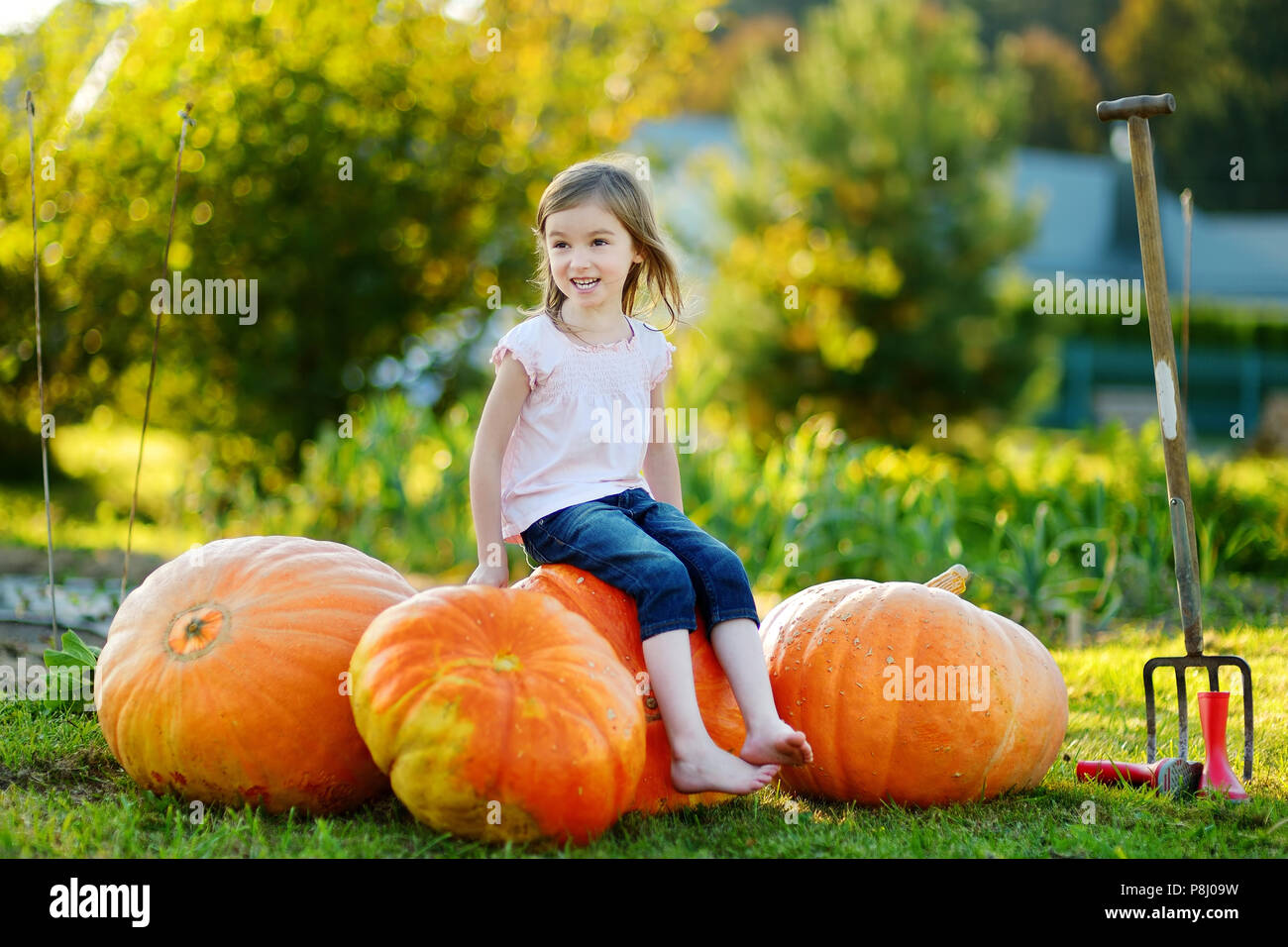 Cute little girl sitting on huge pumpkins on a pumpkin patch Stock ...