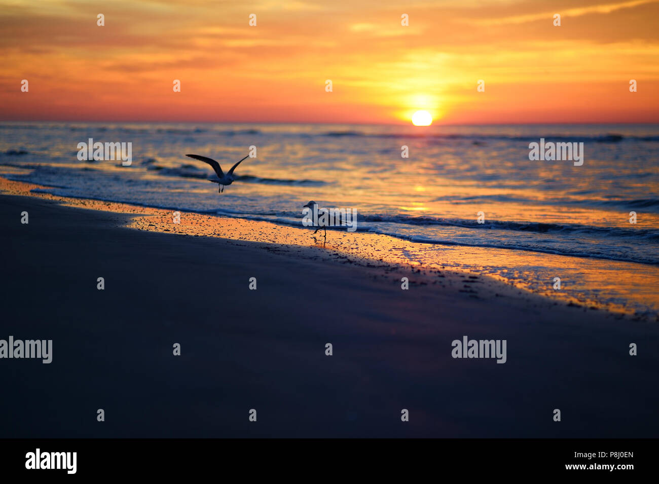 Dream sandy bounty beach hi-res stock photography and images - Alamy