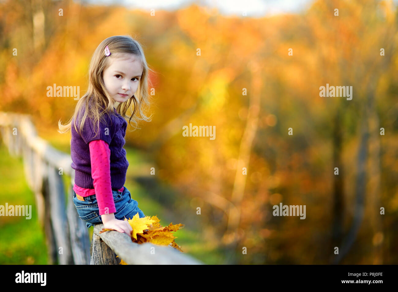 Portrait of a cute little girl on beautiful autumn day Stock Photo - Alamy