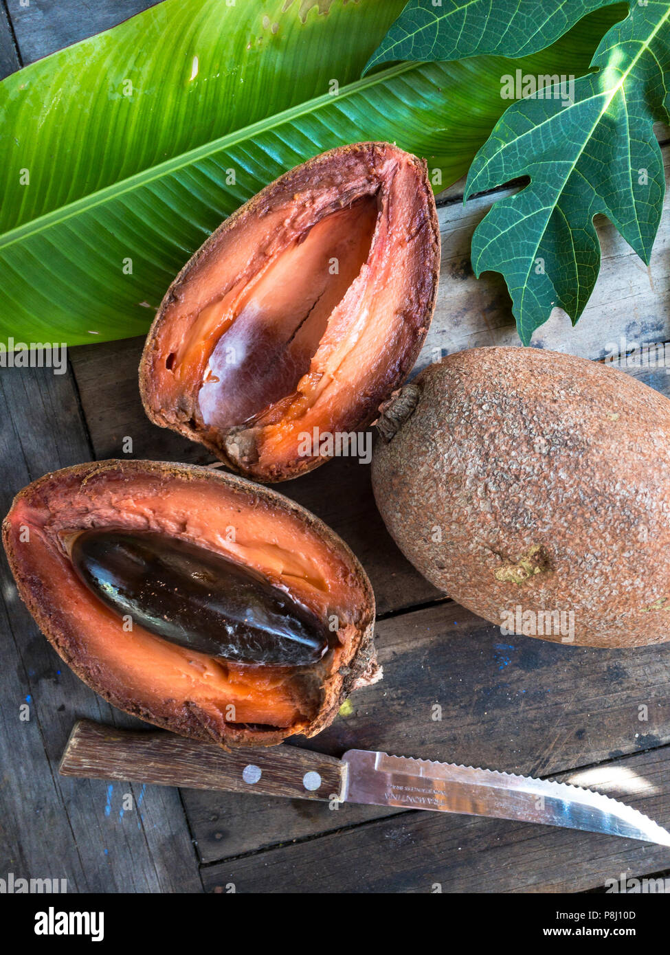 Pouteria sapota, or mamey sapote, cut open on a table in Oaxaca, Mexico. Grows in Central America and Cuba Stock Photo