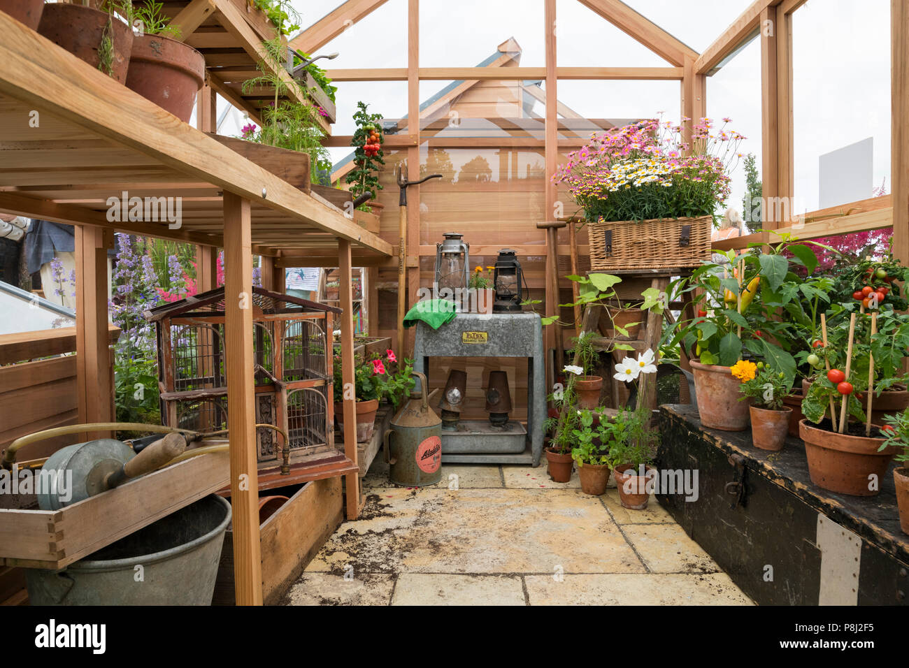 Inside view of greenhouse (plants in pots, vintage heater) on display