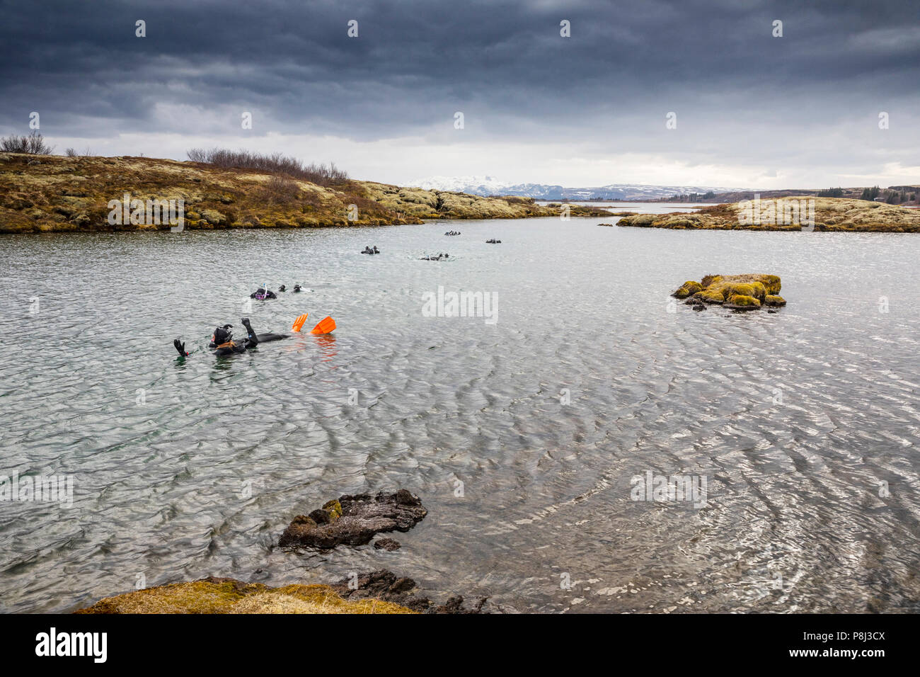 Snorkeling the Silfra Fissure in Thingvellir National Park in Iceland Stock Photo