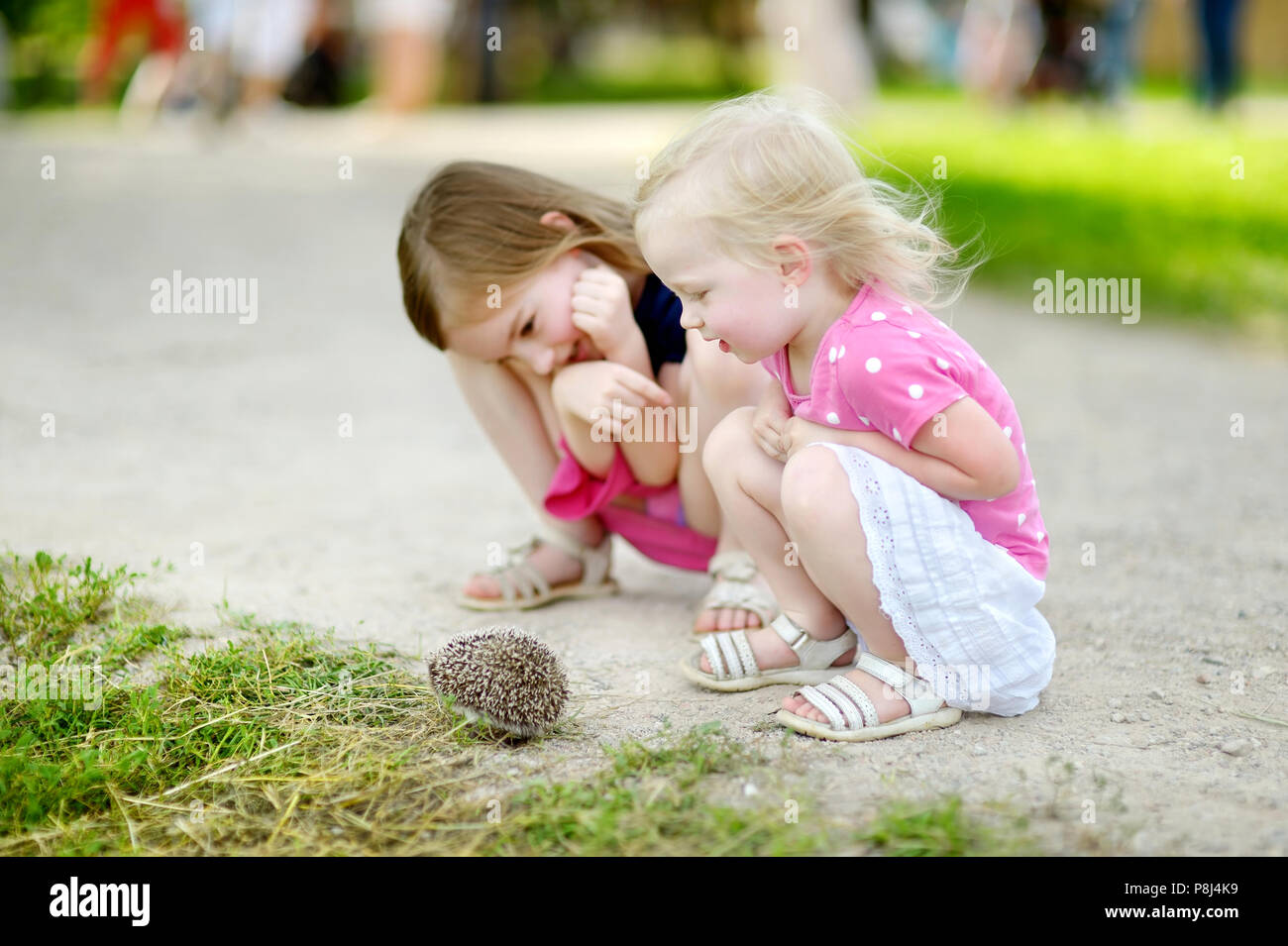 Two adorable little sisters playing with a hedgehog outdoors Stock Photo