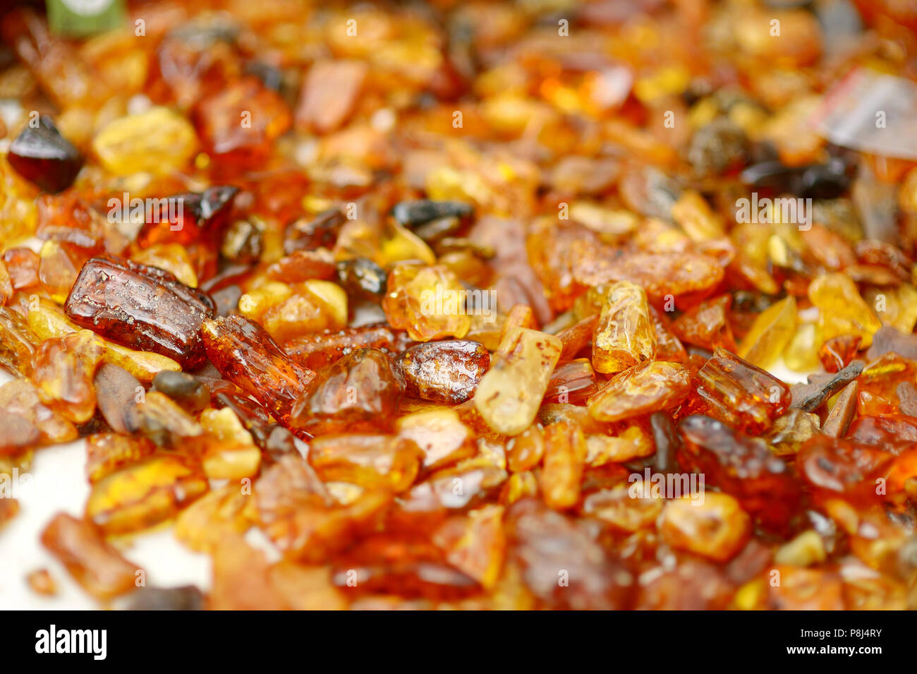 Amber stones from the beach of the Baltic Sea of Lithuania Stock Photo ...