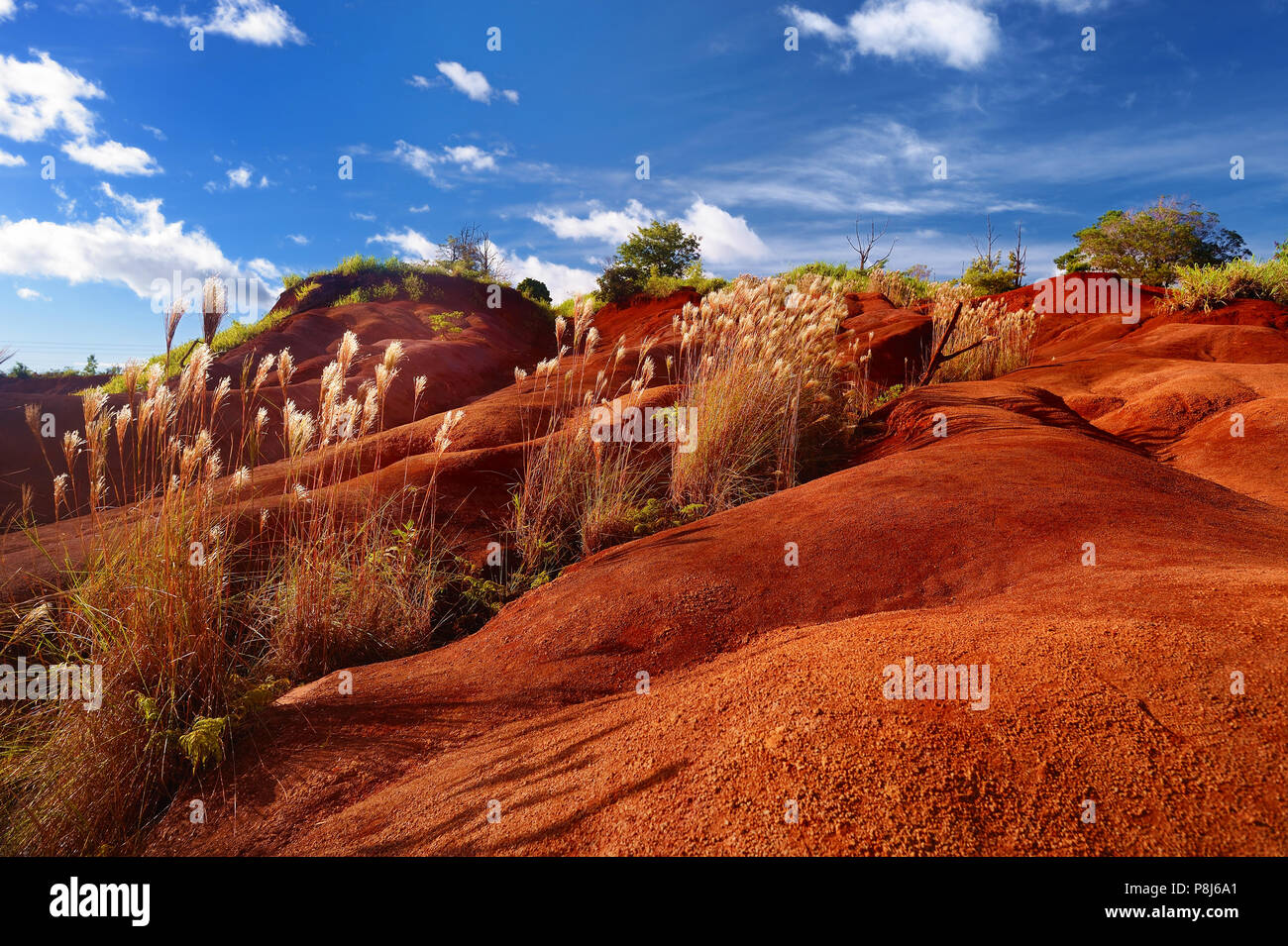 Famous red dirt of Waimea Canyon in Kauai, Hawaii Stock Photo Alamy