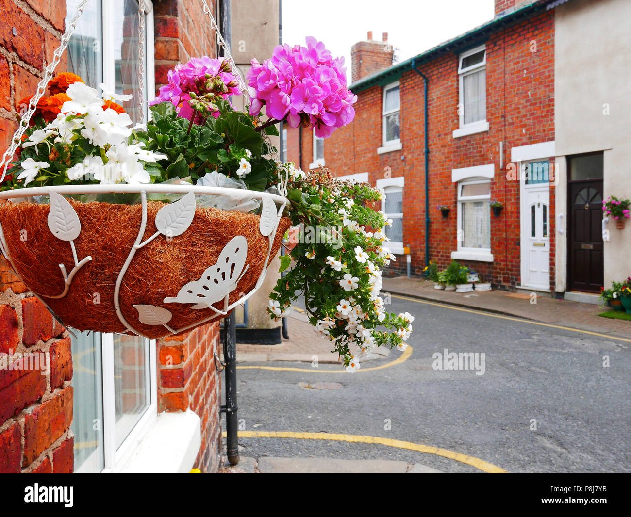Colourful hanging basket outside a house on a narrow street of terrace houses in Fleetwood,Lancashire,UK Stock Photo