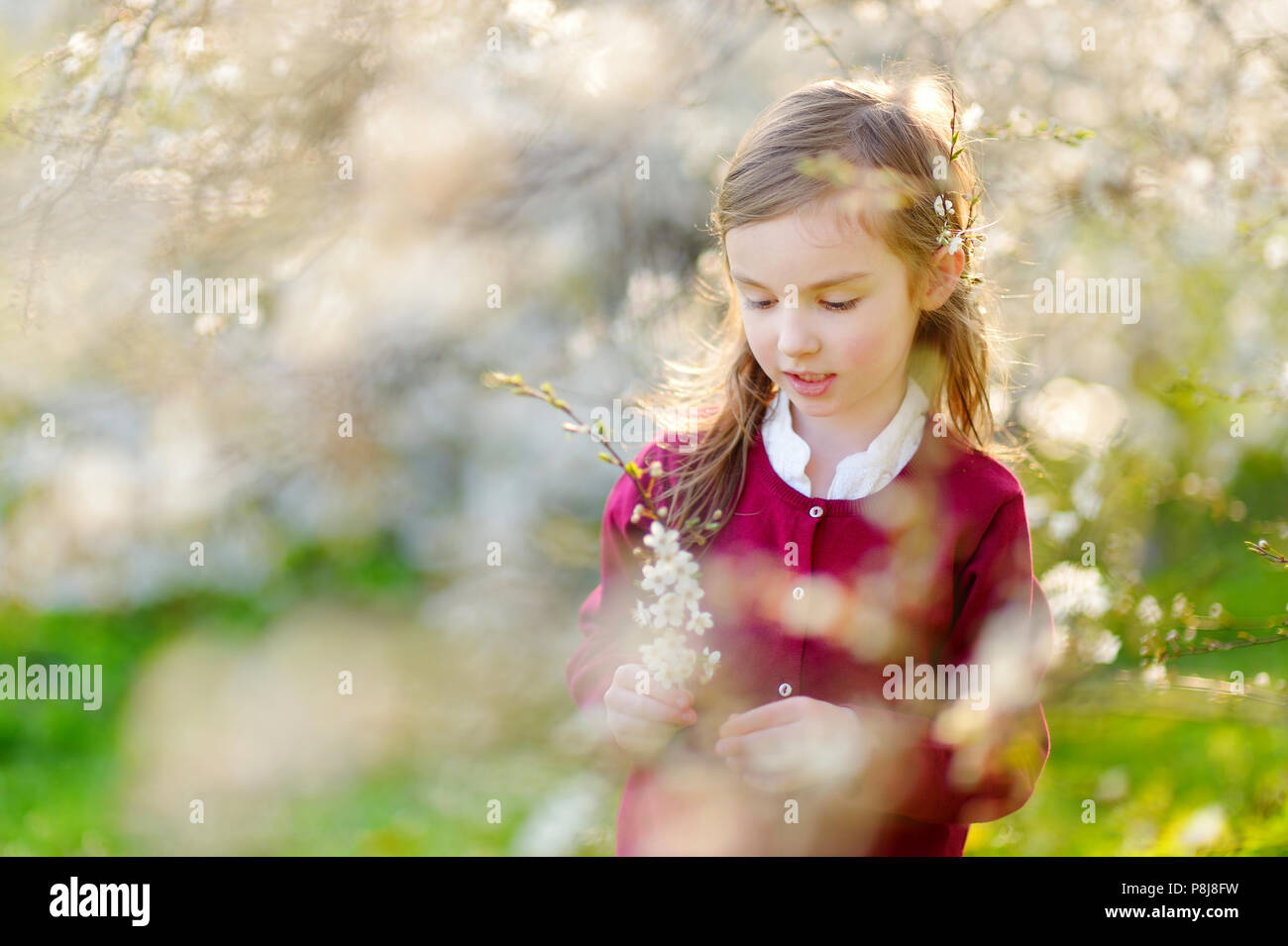 Adorable little girl in blooming cherry garden on beautiful spring day ...