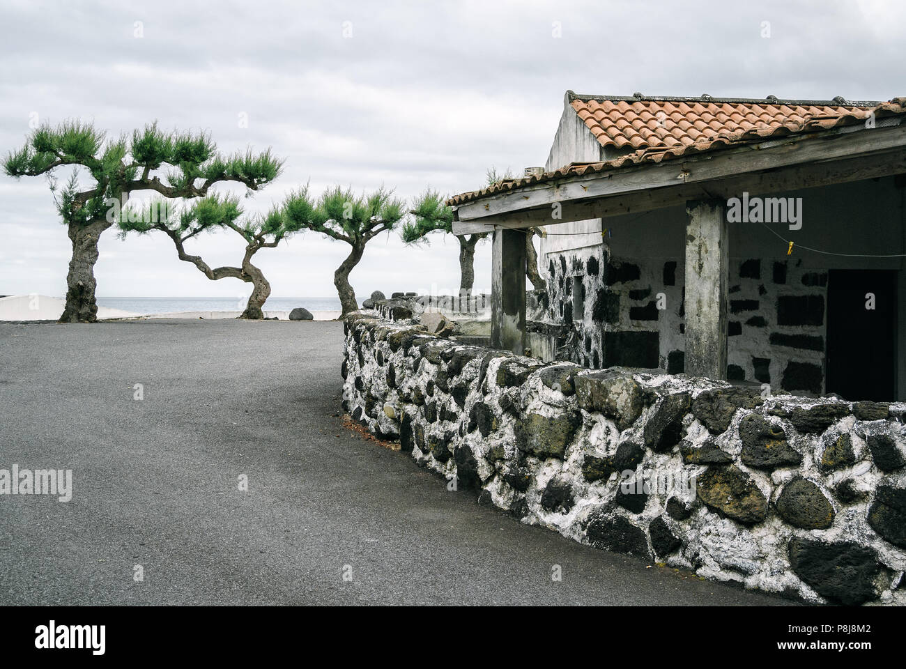 A traditional house made with dark volcanic rocks at a village on Pico